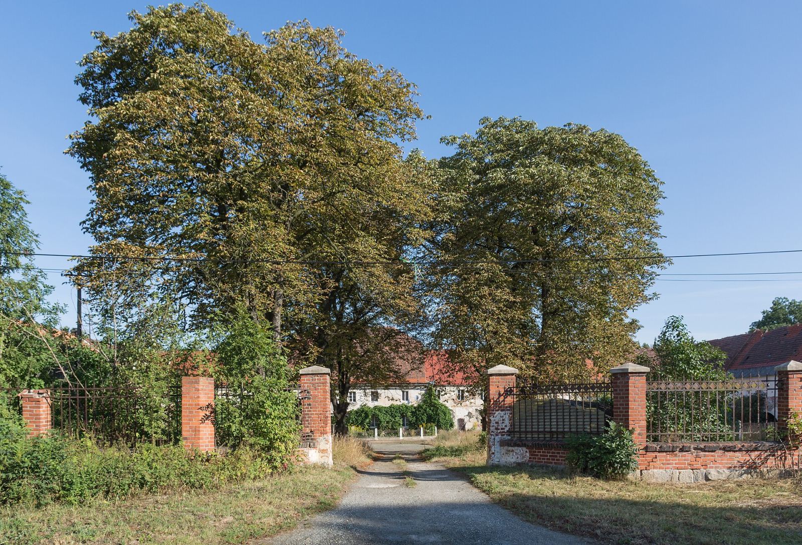 Aleja kasztanowcowa, Stary Wielisław