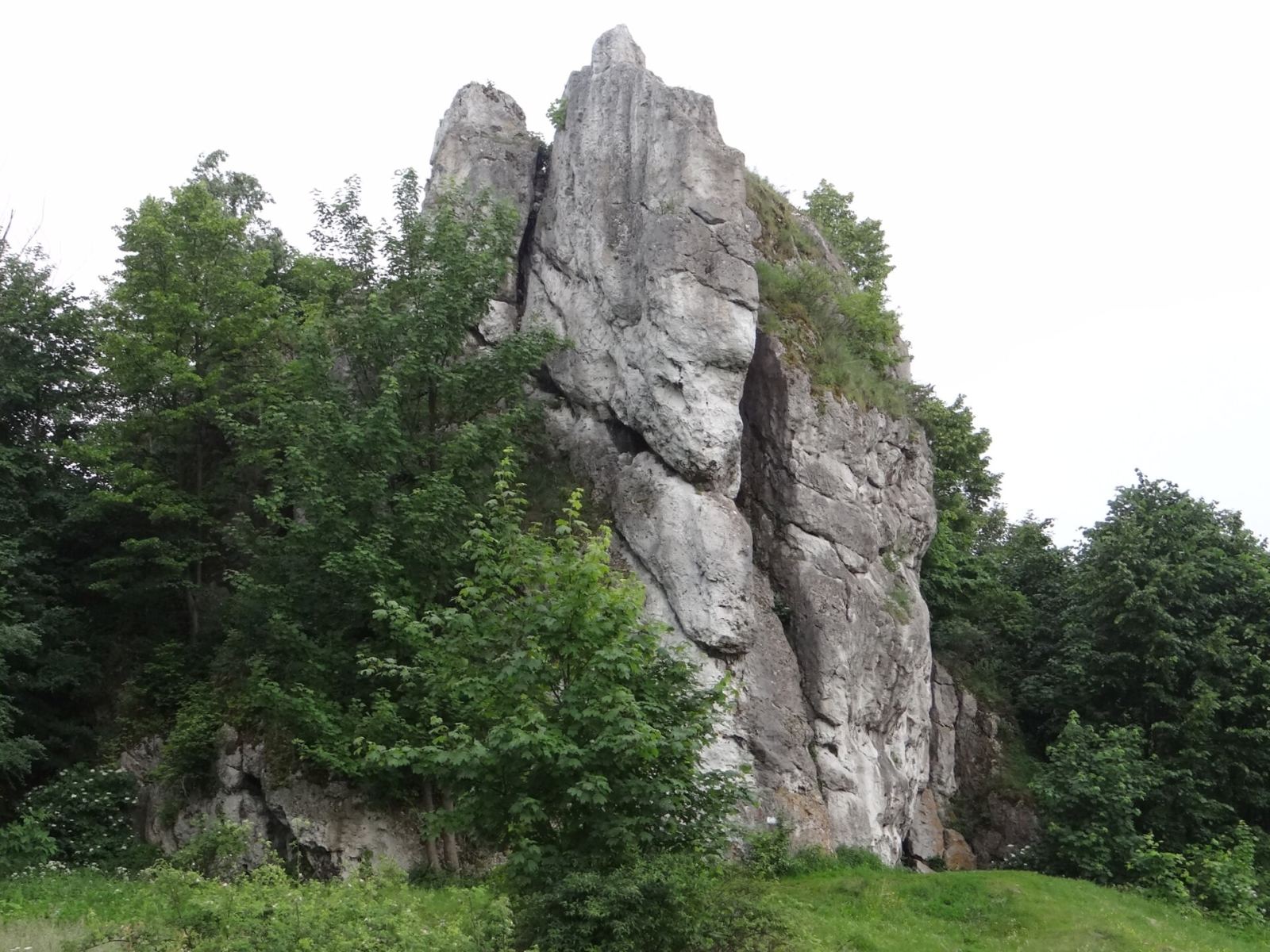 Ruiny strażnicy, Łutowiec