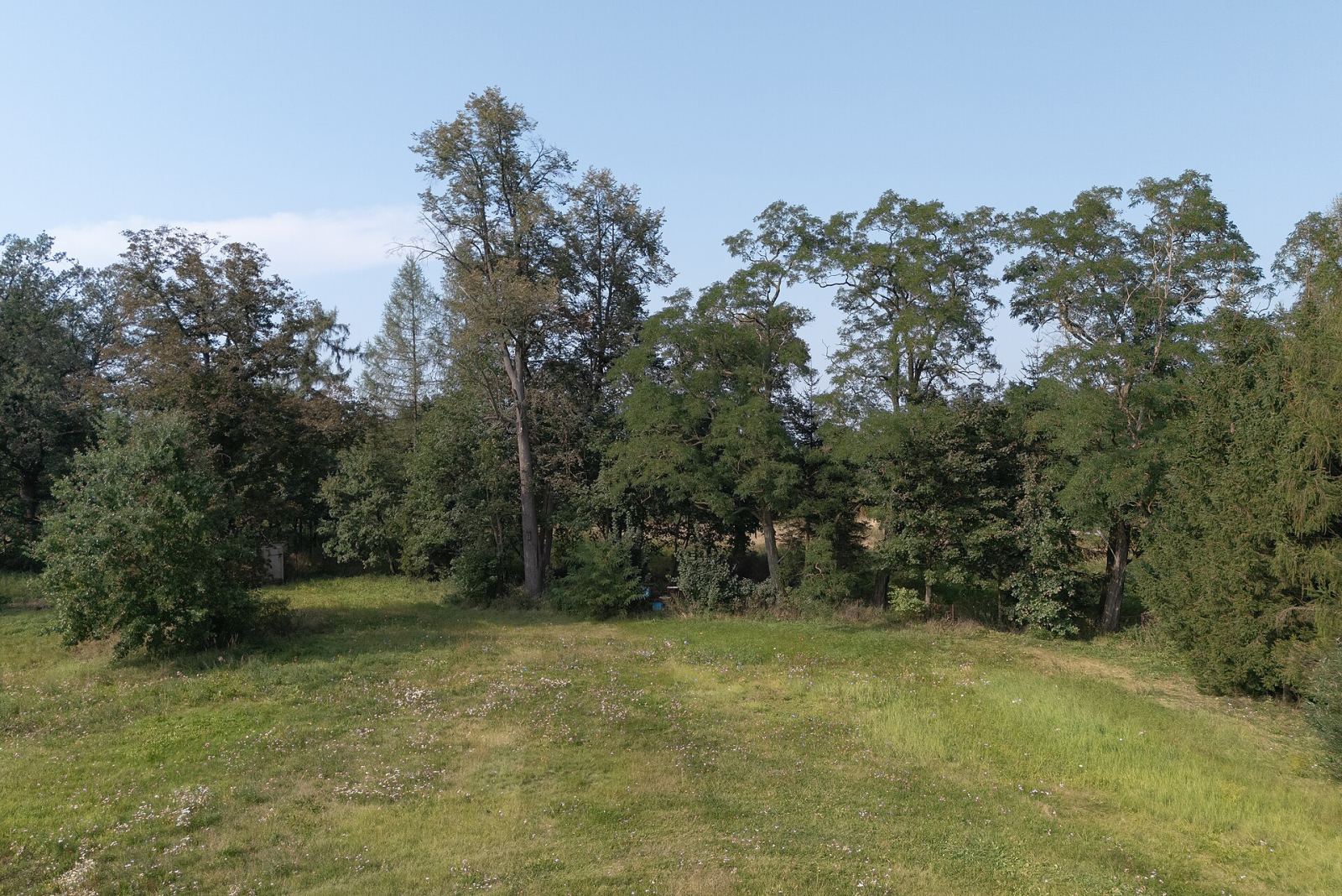 Park, Krosnowice