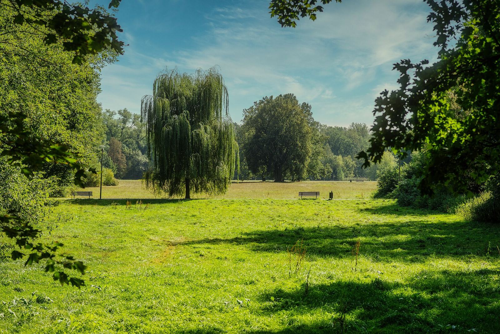 Park miejski, Opole