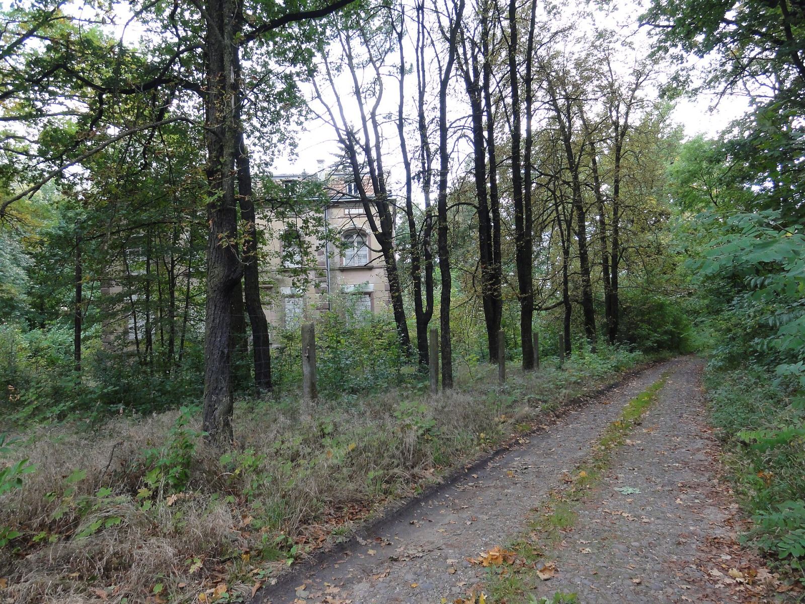 Park, Lipinki Łużyckie