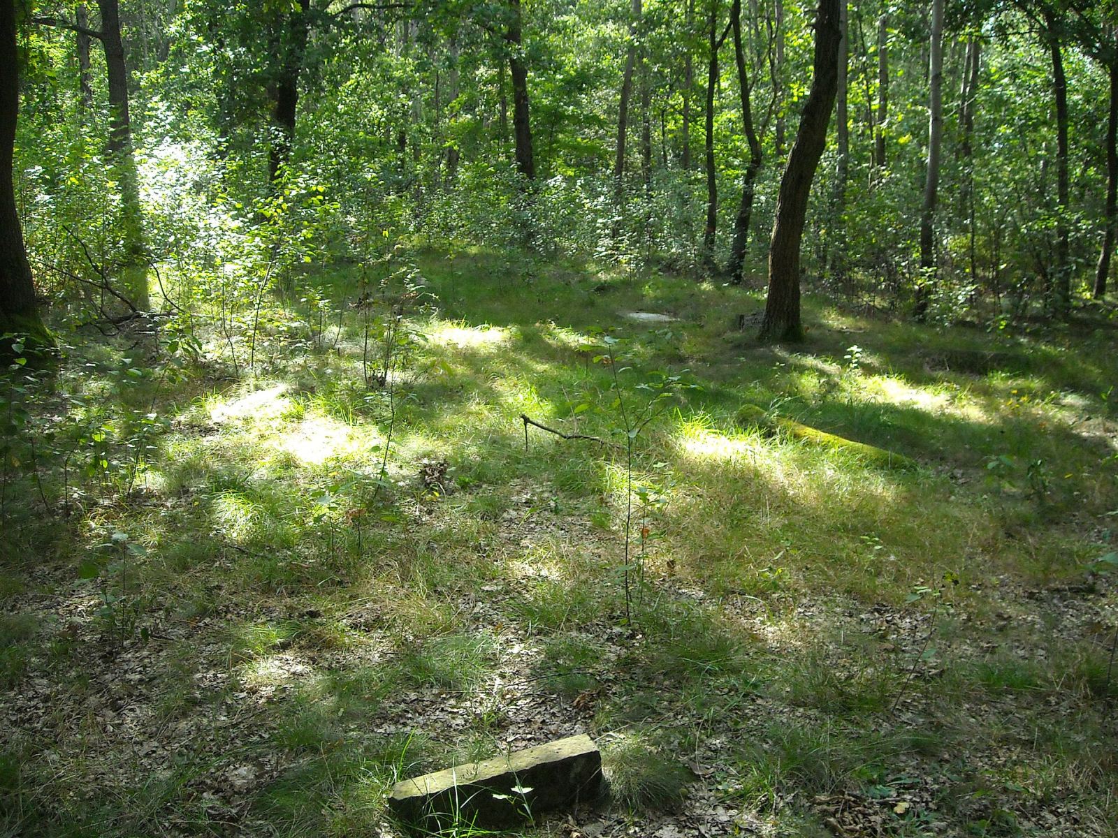 Cmentarz żydowski, Okuniew