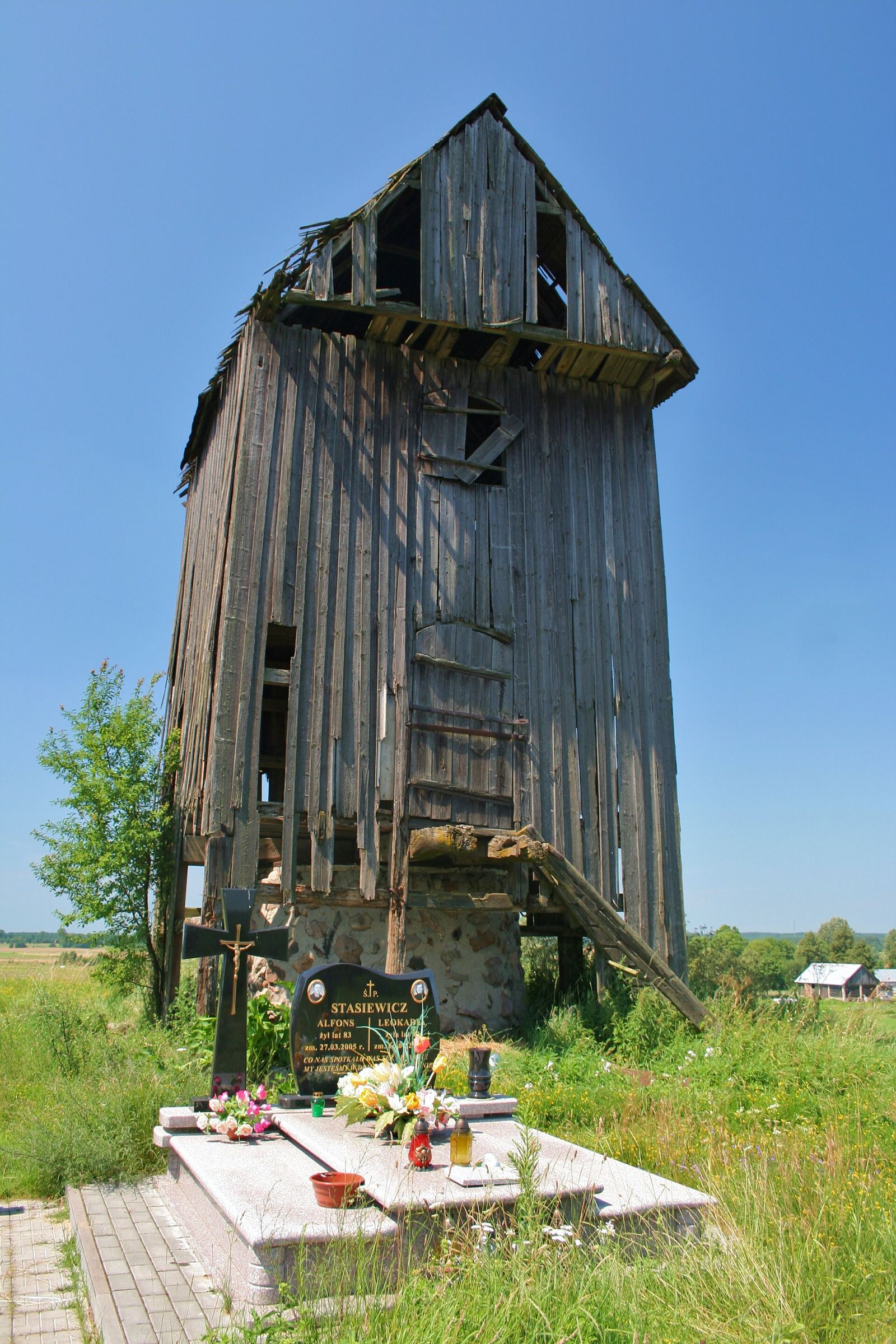 Wiatrak koźlak, Minkowce